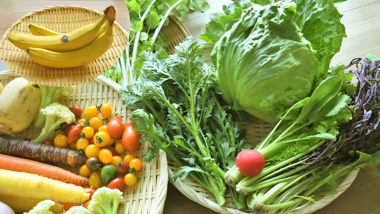 【リエビン】旬野菜BOX（野菜5～6種類・佐藤商店のバナナ）