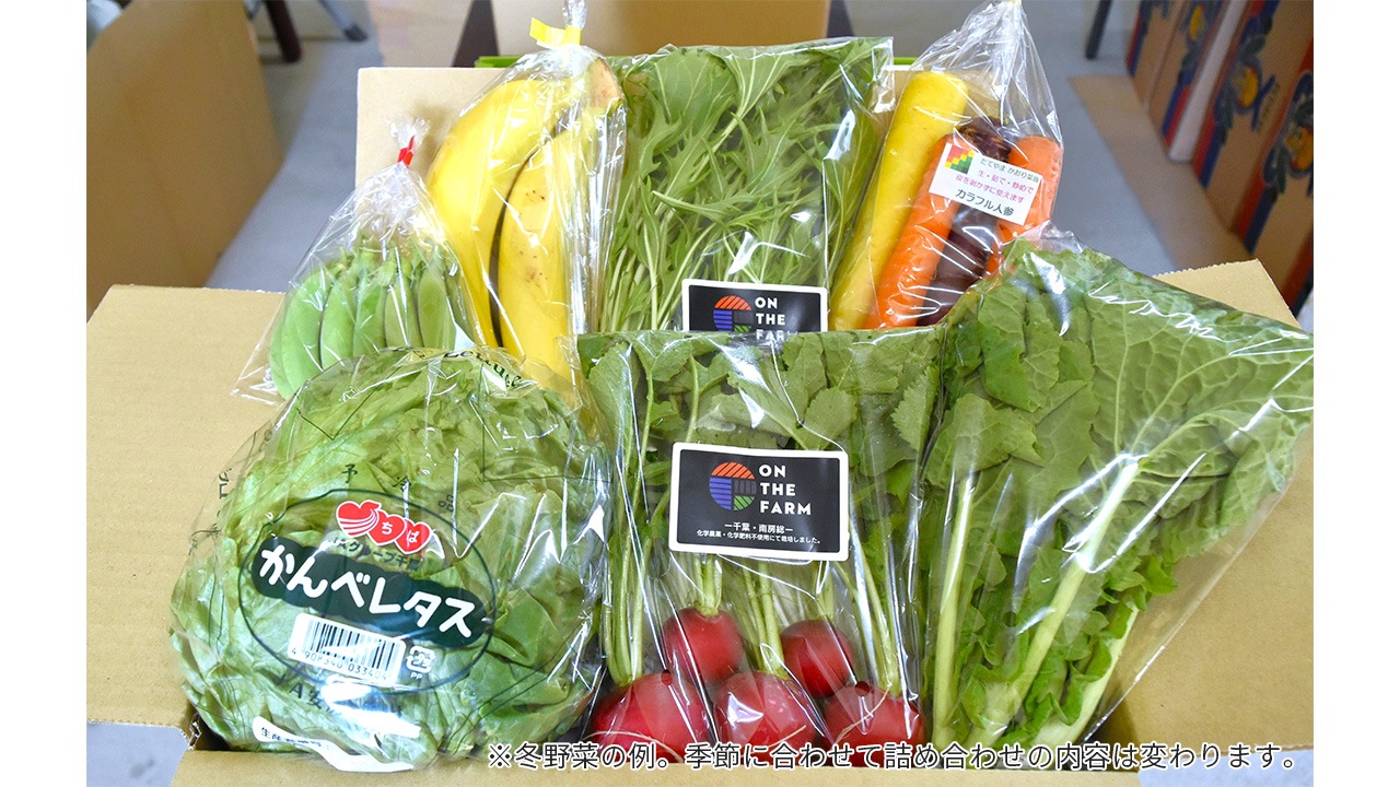 【リエビン】旅する産直BOX|おまかせ旬野菜5~6種類とバナナのセット