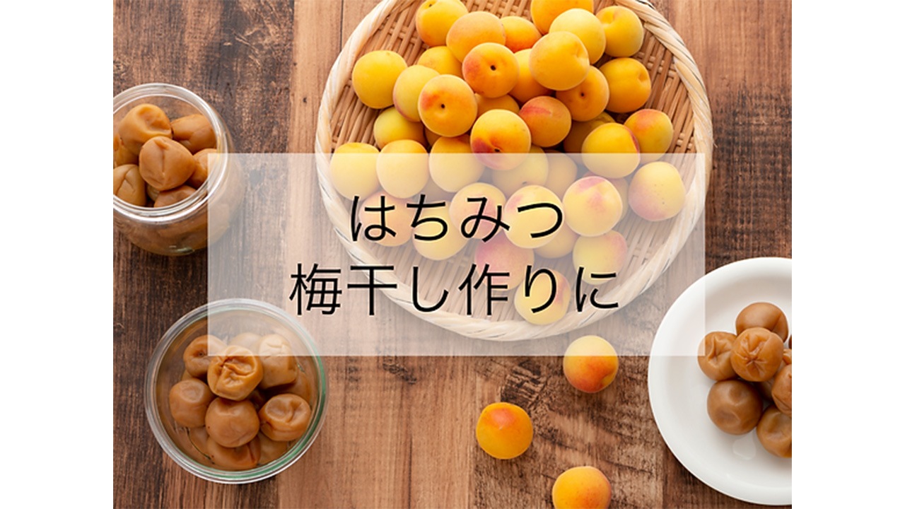 【HANAP】お得な1kg×1本　春の純粋はちみつ（家庭用）