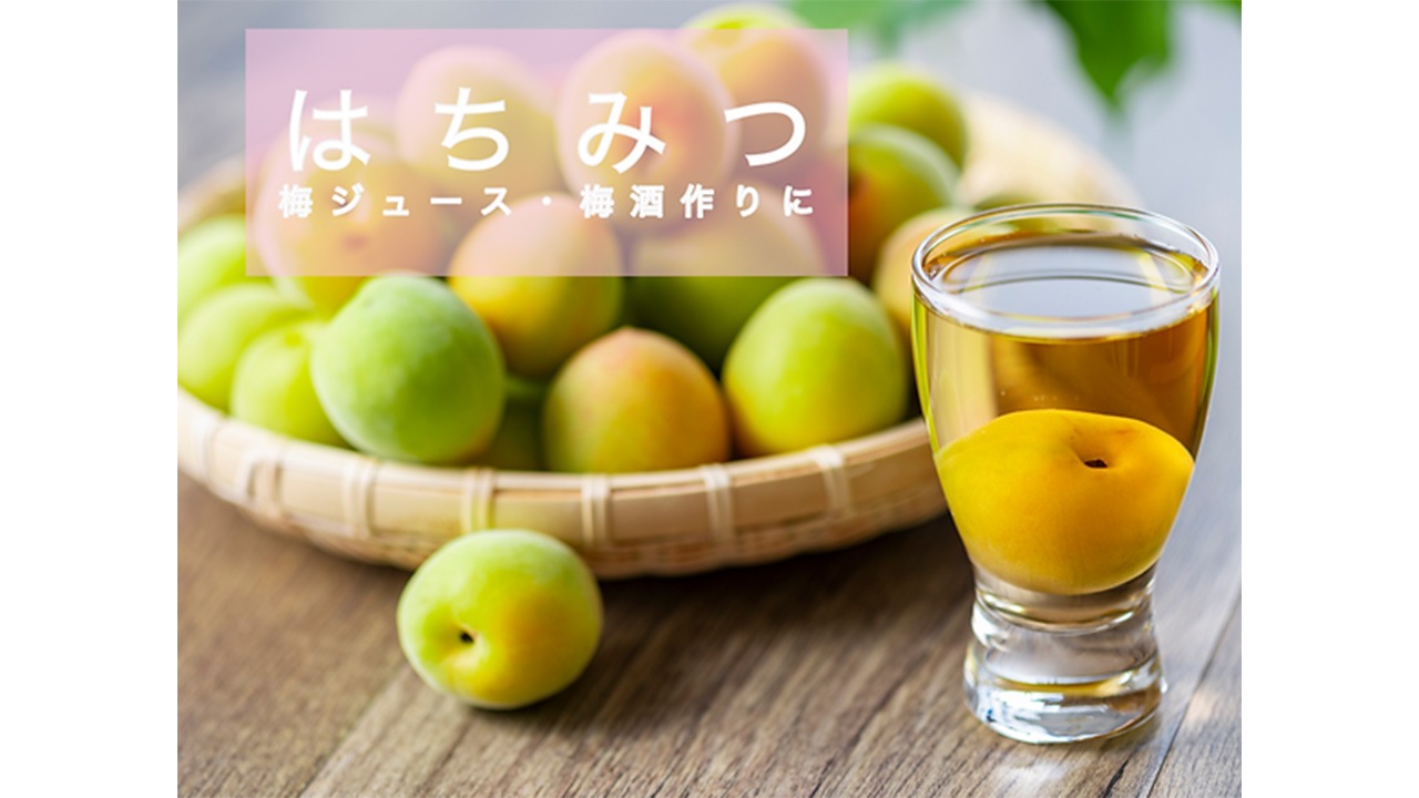 【HANAP】お得な1kg×1本　春の純粋はちみつ（家庭用）