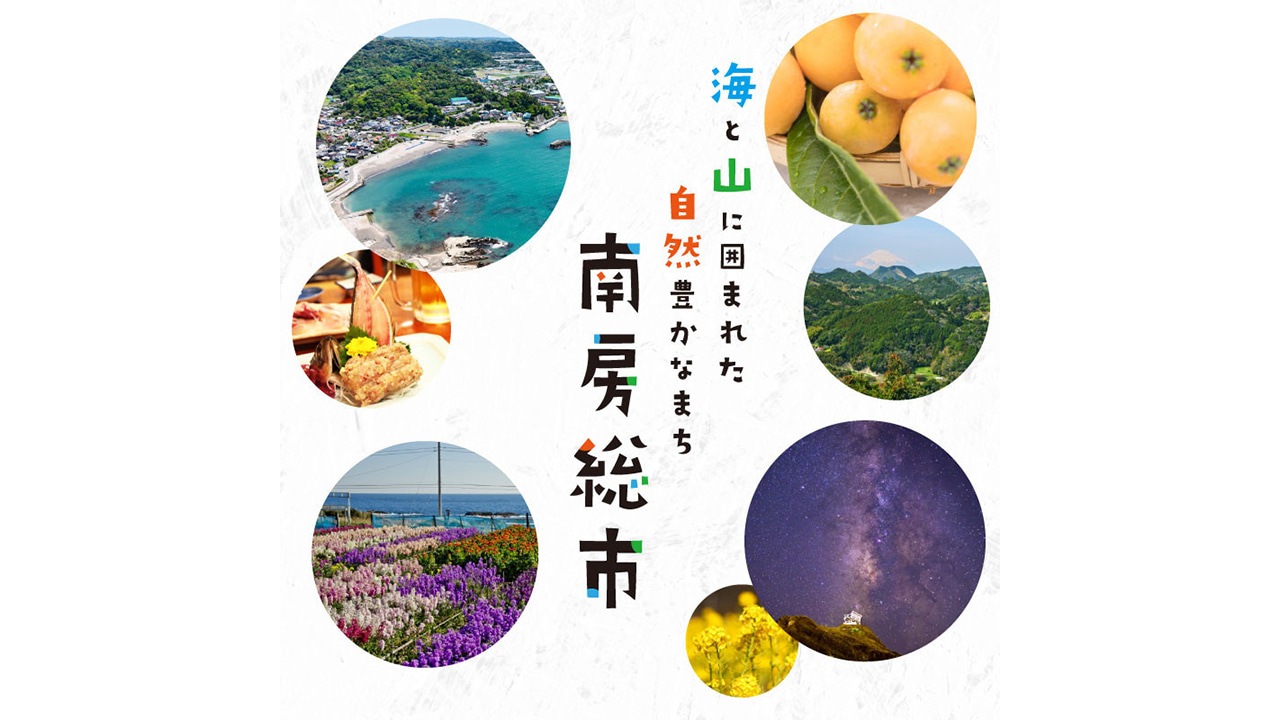 【うなぎ新都（しんみやこ）】うなぎ骨せんべい３パック