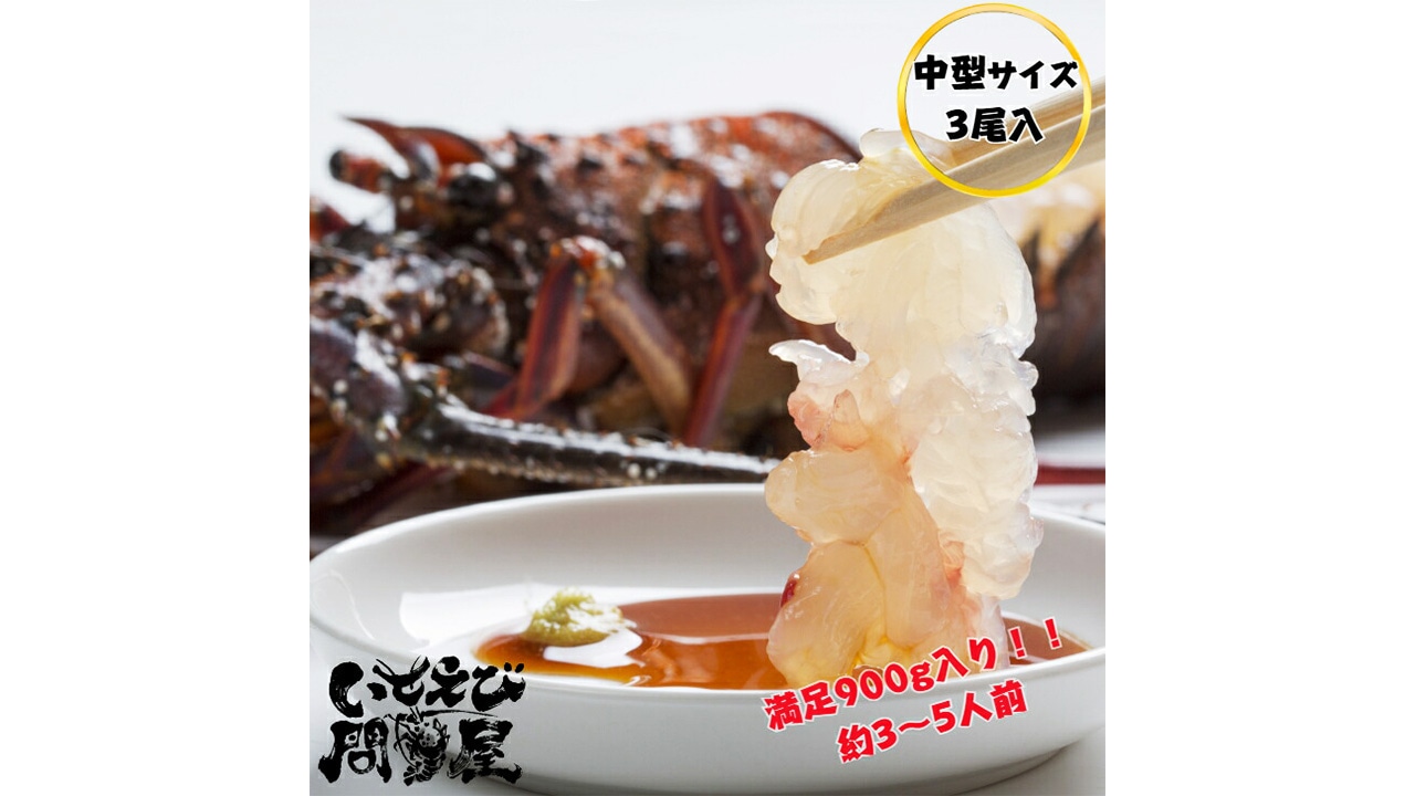 【いせえび問屋】活〆生冷凍伊勢海老　中（900g/3尾）