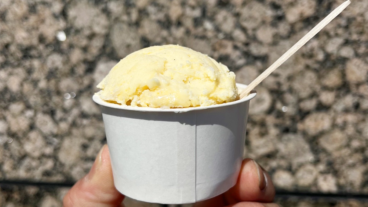 【株式会社メディアサイトウ】SDGsとうもろこしアイス 8個入り