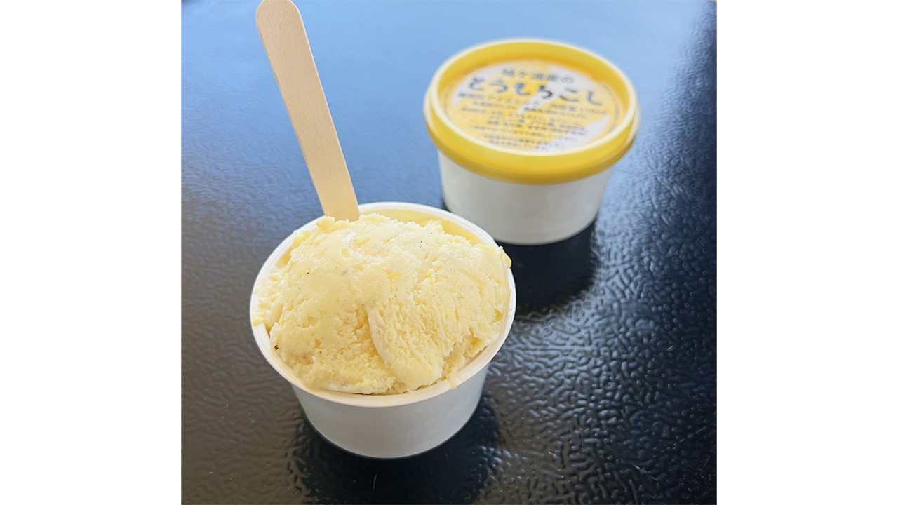 【株式会社メディアサイトウ】SDGsとうもろこしアイス 8個入り