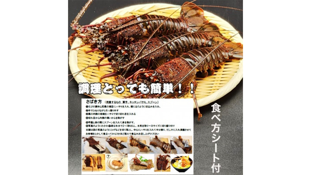 【いせえび問屋】活〆生冷凍伊勢海老　中（2kg/7～10尾）