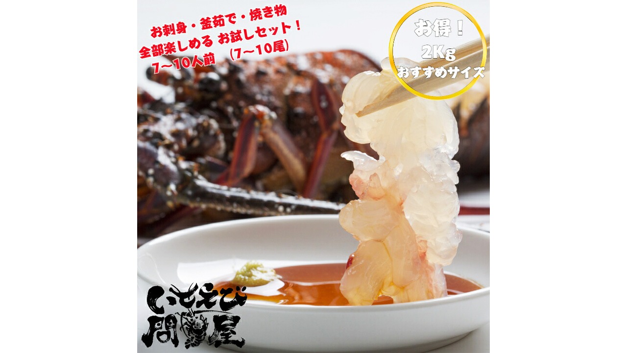 【いせえび問屋】活〆生冷凍伊勢海老　中（2kg/7～10尾）