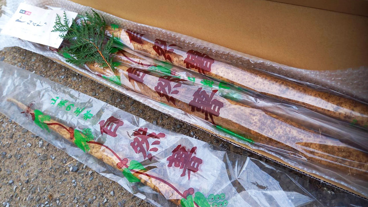 【焼きいも屋リッツファーム】自然薯むかごセット