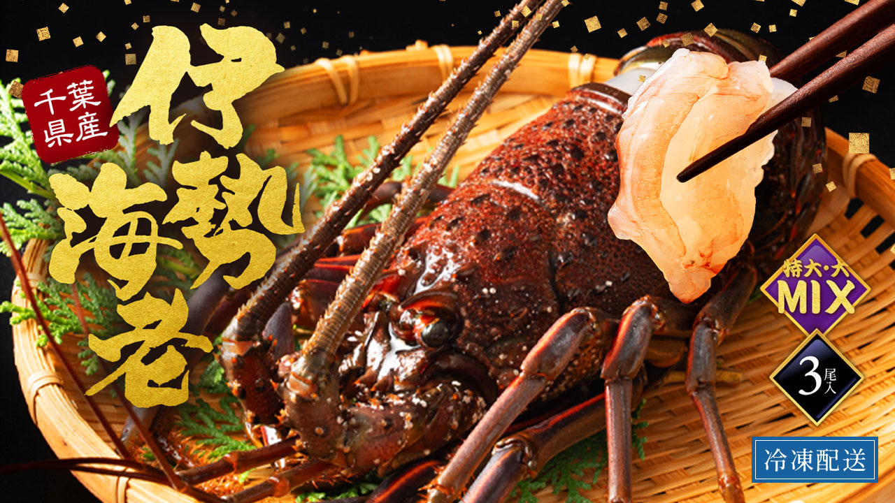いせえび問屋】活〆生冷凍伊勢海老 大（1.2kg/3尾）