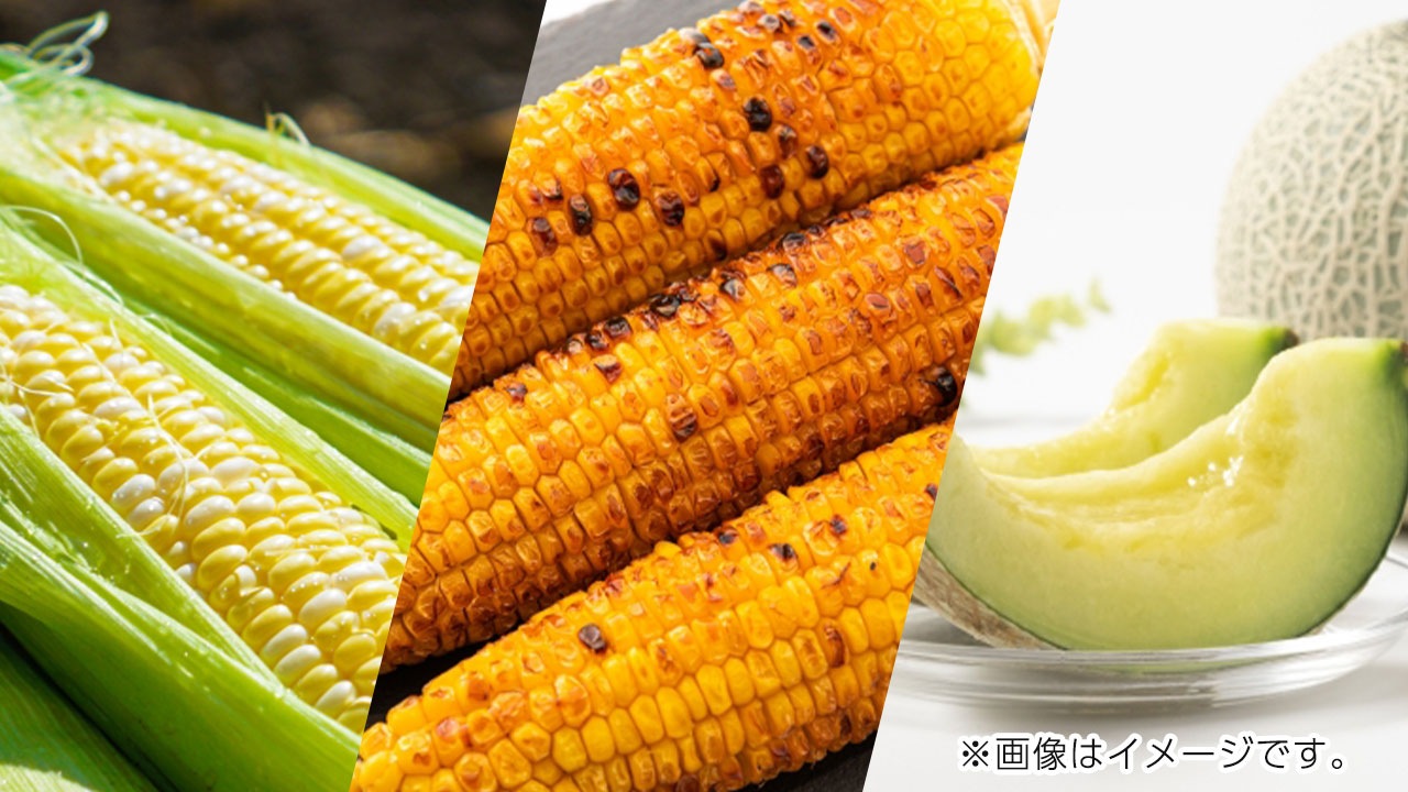 【株式会社メディアサイトウ】SDGsアソートアイス（とうもろこし／焼きとうもろこし／タカミメロン 計8個入り）