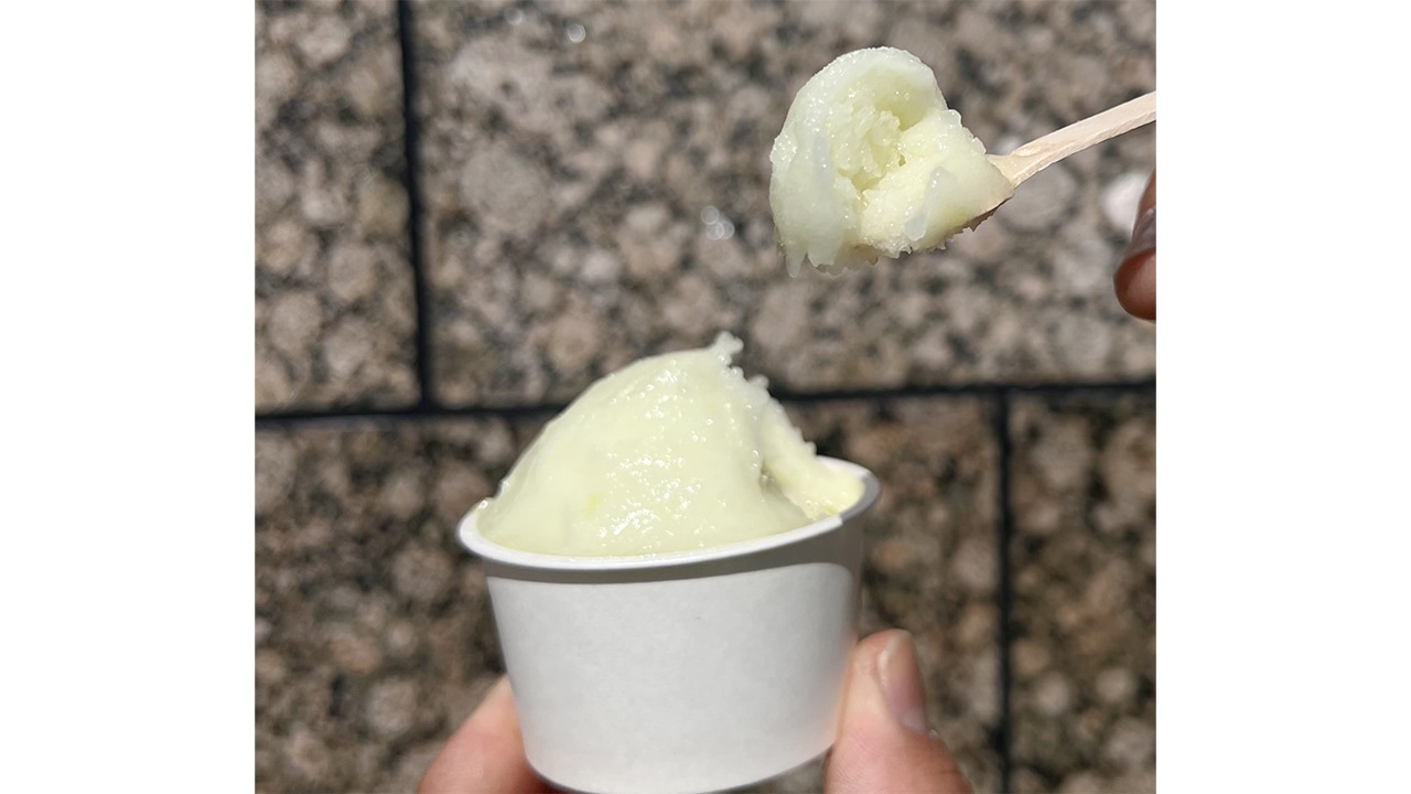 【株式会社メディアサイトウ】SDGsアソートアイス（とうもろこし／焼きとうもろこし／タカミメロン 計8個入り）