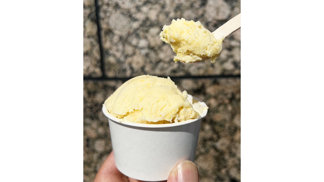 【株式会社メディアサイトウ】SDGsアソートアイス（とうもろこし／焼きとうもろこし／タカミメロン 計8個入り）