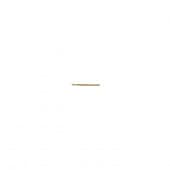 ݥ ԥ   A205-RS-12-RAW  1ڥ ѡ