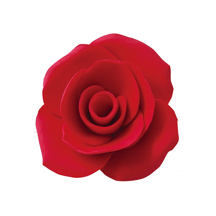 ���ꥢ�ٹ��� �إ顦�ֲ��� �� �ѥ��� PADICO  UV�쥸�� ���쥤����ե� Ǵ��