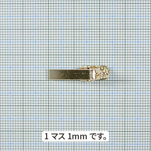 髑髏を持つチンパンジー』 根付 熱さ （緒締め /帯留め /Netsuke） 