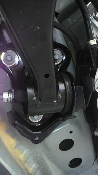 ASSO PERFORMANCE COLLAR（リジカラ） spoon-rigid-c-r.jpg