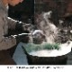 ޱORI-ENť֥顼 260ml