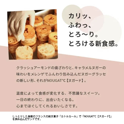 ��NOUGAT�� �̥����� ����ɡۥץ졼�� 5�ĥ��åȡå��ȥ륫���� �̥�������å� ������� �ץ졼�� ������ �ࡼ��