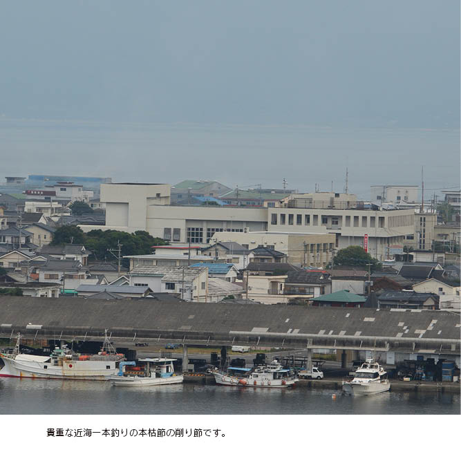 �᳤ʪ�������ܸϺ����