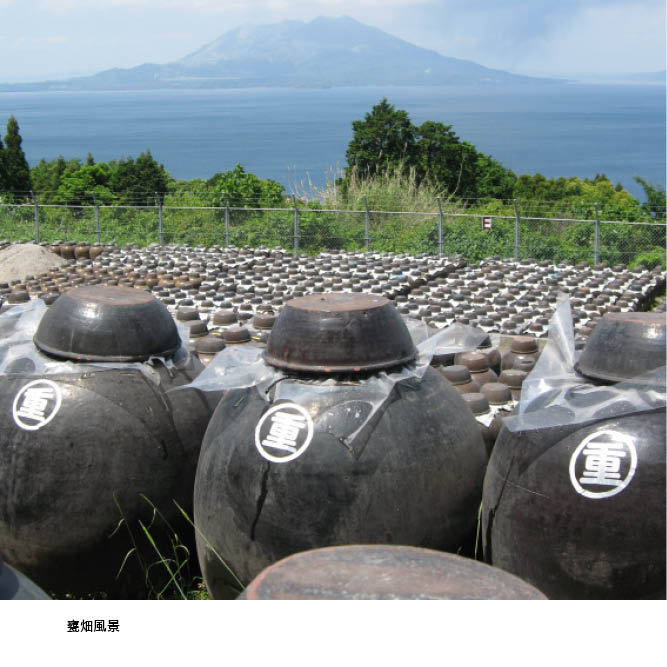 �ݤ����ݶ� 185ml