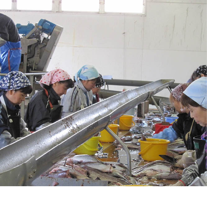 �ɻ������ҡ��׾��ͤΤޤ�����400g