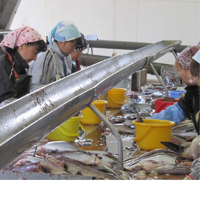 ¿�ɤλҡ�����350��