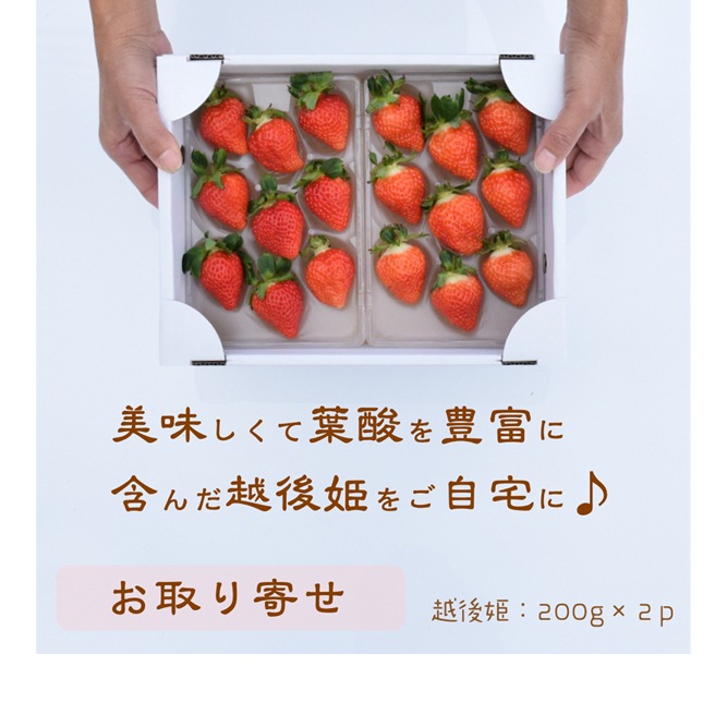 ���Τ��������۸�ɱ �⤰�⤰�ѥå� 2p400g��