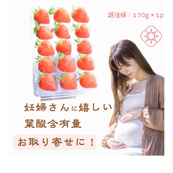 ���Τ��������۸�ɱ �ѥ��ѥ��ѥå� 2p340g��