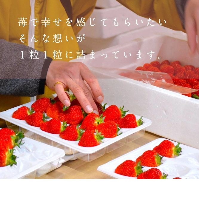 ���Τ��������۸�ɱ �ѥ��ѥ��ѥå� 2p340g��