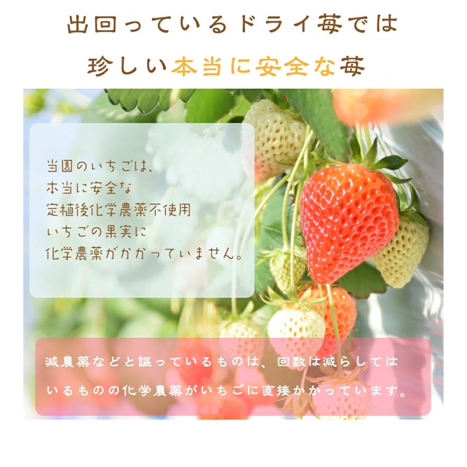 �դ�äȱ۸�ɱ10������