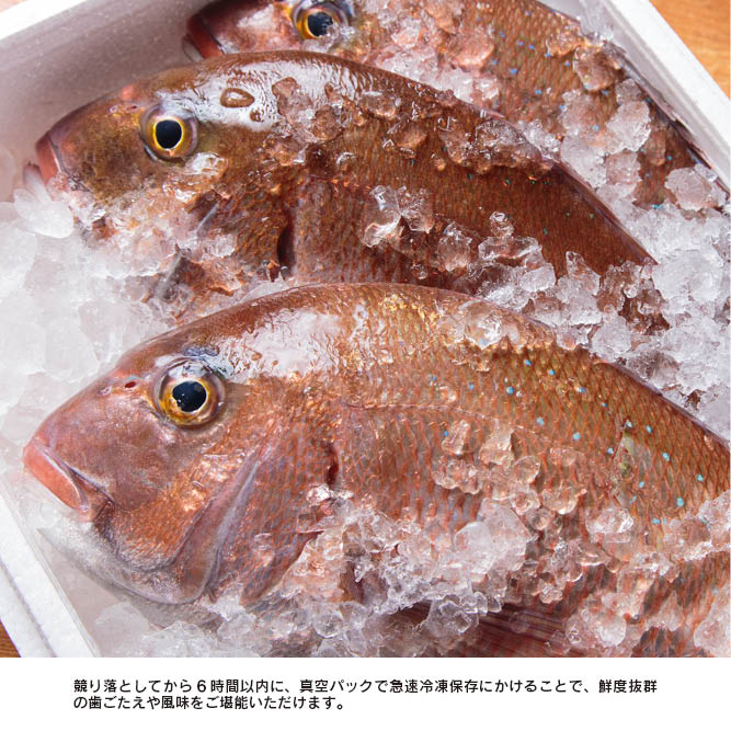 �����Ҥ� ���������եȥ��å�