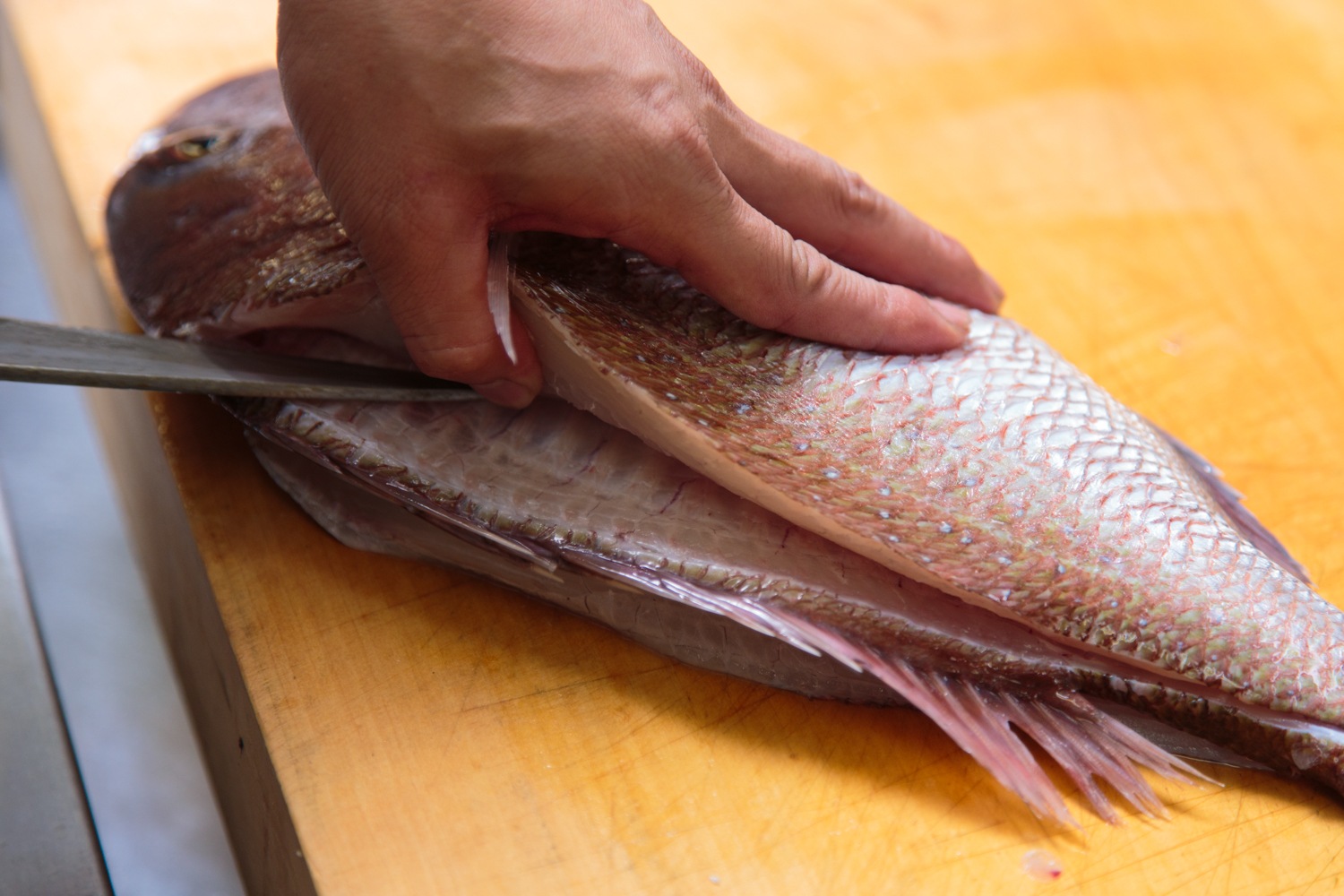 �����Ҥ� ���������եȥ��å�