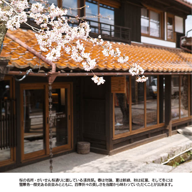 �ڥߥ������������Ǻܡ����ȸ���ν� �ֿܳ�š�׽������1������/1��2��ʬ��