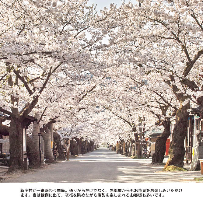 �ڥߥ������������Ǻܡ����ȸ���ν� �ֿܳ�š�׽������1������/1��2��ʬ��