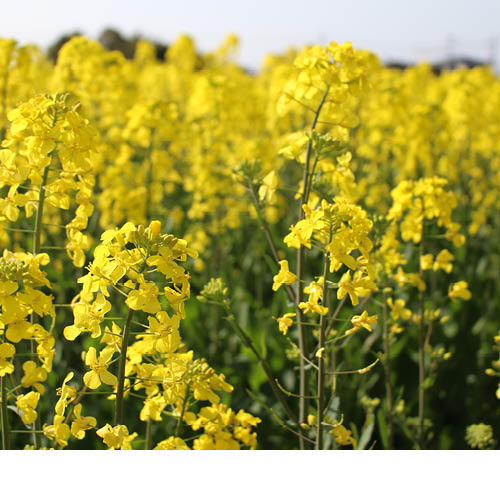 �ץ饹������Ȥޤ�180��