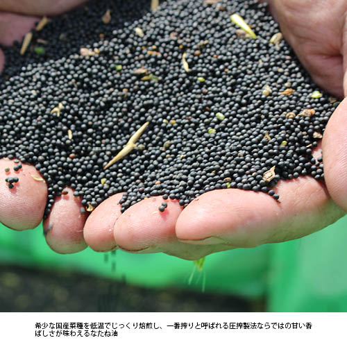 �񻺺ڼ�����������¢