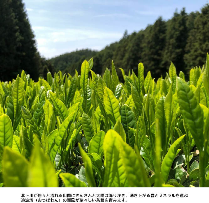 �̸¤Τ��㡡��ã������㡦�����㥻�åȡ�