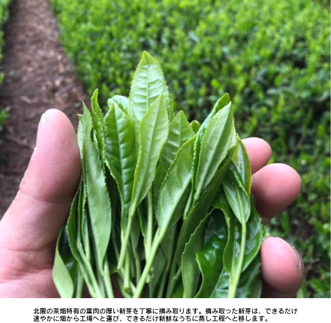 �̸¤Τ��㡡��ã������㡦�����㥻�åȡ�