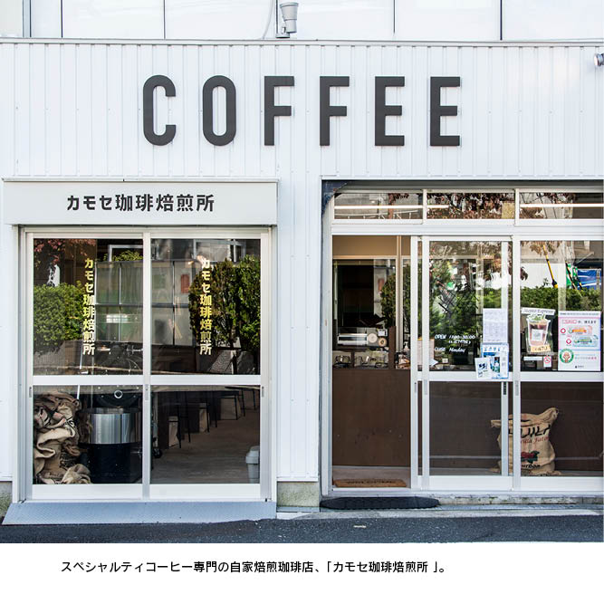 ܥå ФѥåġܥɥåץХåġܥåȢ6ġ