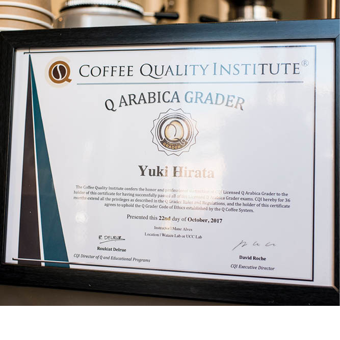 ����ܥå����� �ɥ�åץХå������� �� ��Ф��ѥå�������