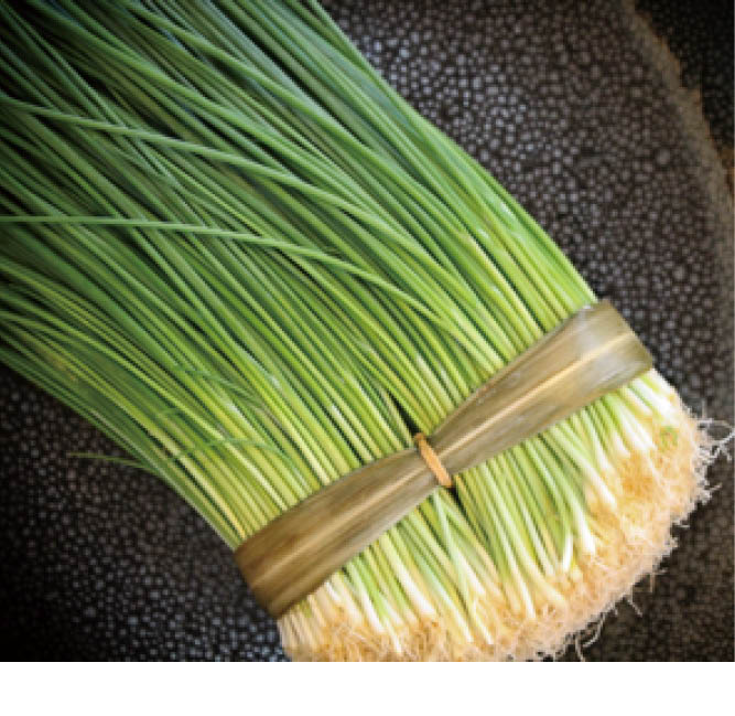 �ڻɿȡ��ݥ�ݡ���̣�դ���˭��Ȥ�դ��ɿȥ��åȡ��ܿ�2��3������