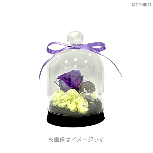 ���ꥨ�� 3rd Anniversary ��̿�Υ������ɡ��ॻ�åȡڥ�����󲦻ҡ�