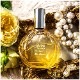 Perfumer ����륤 �����ɥȥ��ʿ��̸���ˡ�Perfumer �����Ĵ��ա���