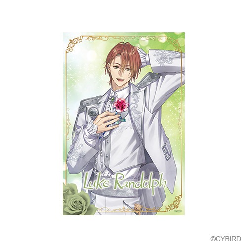 �롼�� �ǥ��֥��ޥ��� 5��ǯver.�ڥ�����󲦻ҡ�