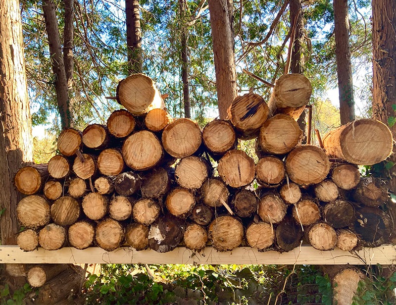 �ҤΤ���������̵���ࡡ̵�����������ʺ���