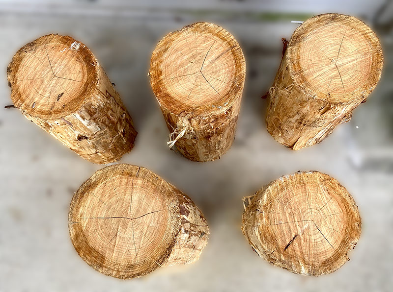 �ҤΤ���������̵���ࡡ̵�����������ʺ���