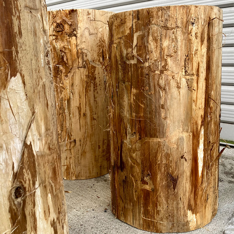 �ҤΤ���������̵���ࡡ̵�����������ʺ���