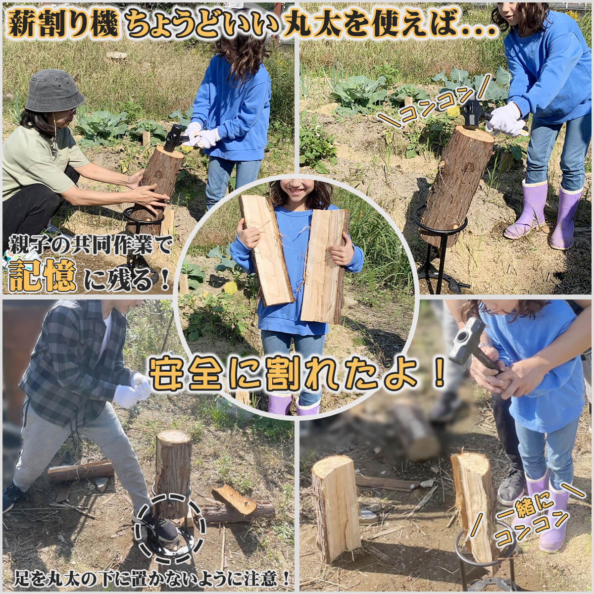 ������̵�� 2�ܡۤ����������ش������ҥΥ� ľ��13cm Ĺ��38cm 2�ܡ��ų�굡�ˤԤä��ꥵ�����ǥ����פ�С��٥��塼�ˤ������ᡪ