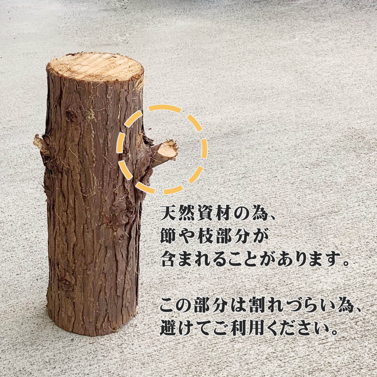 ������̵�� 2�ܡۤ����������ش������ҥΥ� ľ��13cm Ĺ��38cm 2�ܡ��ų�굡�ˤԤä��ꥵ�����ǥ����פ�С��٥��塼�ˤ������ᡪ