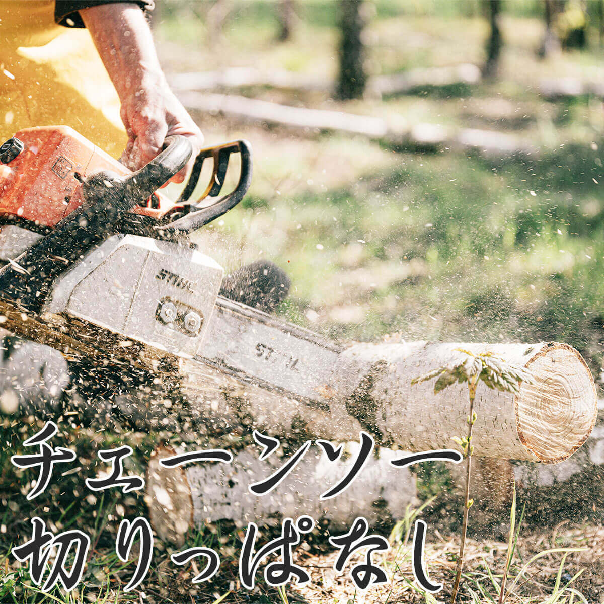 ������̵�� 2�ܡۤ����������ش������ҥΥ� ľ��13cm Ĺ��38cm 2�ܡ��ų�굡�ˤԤä��ꥵ�����ǥ����פ�С��٥��塼�ˤ������ᡪ