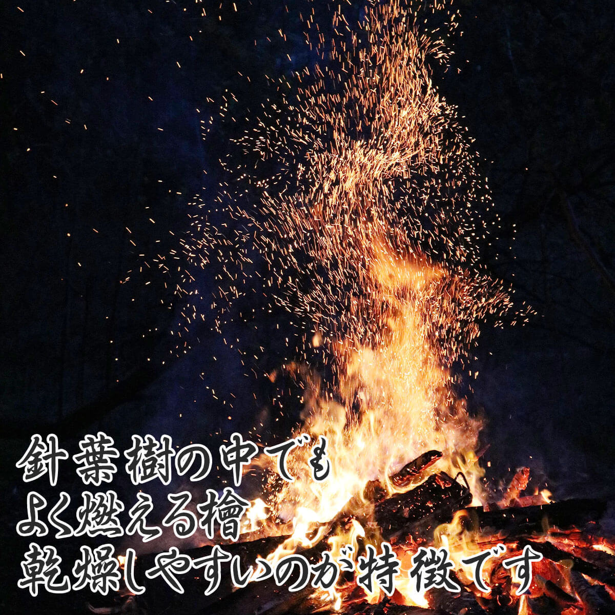 ������̵�� 2�ܡۤ����������ش������ҥΥ� ľ��13cm Ĺ��38cm 2�ܡ��ų�굡�ˤԤä��ꥵ�����ǥ����פ�С��٥��塼�ˤ������ᡪ